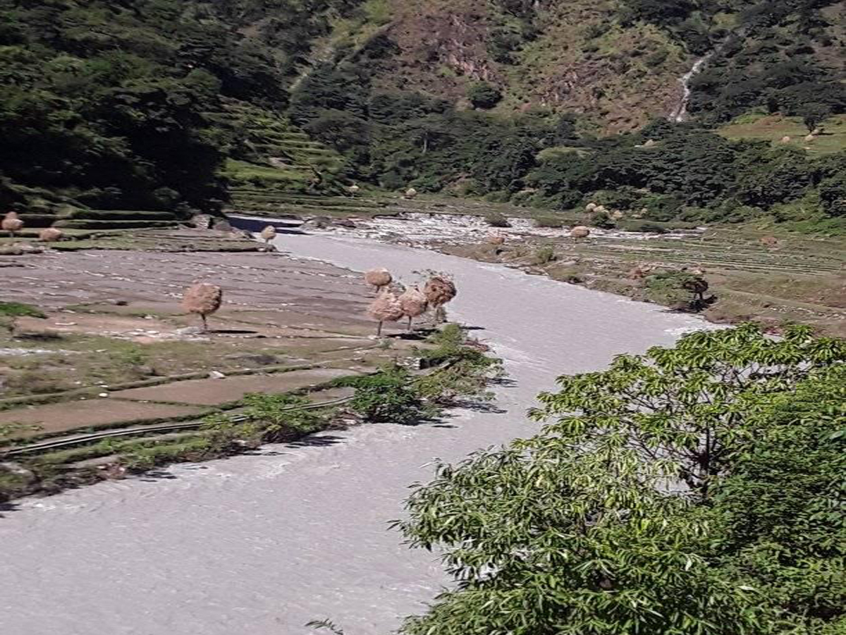 सेती नदीमा पक्की तटबन्ध लगाउनुपर्ने ढुंगाडबासीको माग 